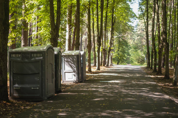 Best Affordable porta potty rental  in Nisswa, MN